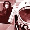 02.03.2018 / İşte Deney İçin Uzaya Gönderilen Hayvanlar...