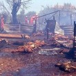 Orman Yangını Sonucunda Yüzlerce Hayvan Yaşamını Yitirdi