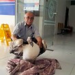 Yaralı Pelikanı Tedaviye Götüren Ahmet Ceylan