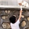 16.09.2020 / Dondurmasını Kediyle Paylaştı