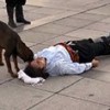01.09.2020 / Yürekleri Isıtan Görüntü: Yaralı Rolü Yapan Oyuncuya Sokak Köpeğinden Sevgi Gösterisi