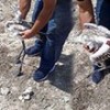 14.09.2020 / Tüfekle Vurulan Flamingo Tedaviye Alındı