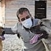 13.11.2020 / Diyarbakır’daki Merkez Engelli Hayvanlara ‘Yuva’ Oldu