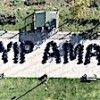 13.11.2020 / Çöplerle ‘Ayıp Ama’ Yazarak Mesaj Verdiler