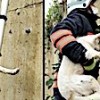 08.11.2020 / Derede Mahsur Kalan Köpeği, İtfaiye Kurtardı