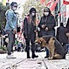 15.11.2020 / Mazgalı İzleyen Köpek İtfaiyeyi Harekete Geçirdi
