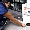 12.11.2020 / Dükkanının Önüne Gelen Fareyi, Elleriyle Besliyor