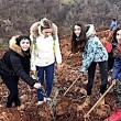 Zeytinköy'de Ağaç Diken Yönelt Koleji Öğrencileri