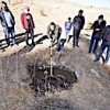 29.10.2020 / Kars’ta Yaralı Bulunan Bozayı Tedavi Altına Alındı