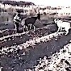 15.12.2020 / Eşeğe İşkence Yapan Kişi Gözaltına Alındı