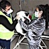 05.12.2020 / İzmir Depreminden Kurtarılan 8 Kedi, Haluk Levent’in Kurduğu Ahbap Platformu’na Emanet