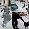 25.12.2020 / Beyoğlu’nda Şaşırtan Anlar! Hırsızlığı Köpek Böyle Önledi