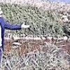 06.10.2020 / Tarımın Merkezinde Dehşet Veren Manzara