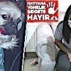 10.09.2020 / Şikayetini Geri Çekmeyen Sevgilisinin Köpeğini 5. Kattan Attı