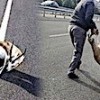 01.12.2020 / ‘Veterinere Götüreceğim’ Diyerek Aracına Aldığı Yaralı Ceylanla Kayıplara Karıştı