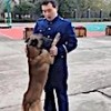 19.12.2020 / Çin’de Arama Köpeği, İtfaiyeden Emekli Olan Eğitimcisinin Aracının Peşini Bırakmadı
