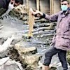 16.01.2021 / Göreni Dehşete Düşürdü! ‘Bu Resmen Katliam’