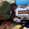 23.01.2021 / Köpeklerin Saldırısıyla Yaralanan Karacaya Suni Teneffüs Yaptı