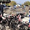 25.12.2020 / Torunun Hindi Sevgisi Dedeyi Üretici Yaptı