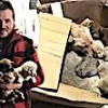 20.01.2021 / Sokak Köpeği İle 6 Yavrusunu Donmaktan Kurtardı