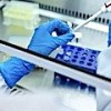 19.01.2021 / Çin’de Bir Orman Kedisi Klonlandı