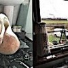 19.01.2021 / Kuğu Rotasını Şaşırdı, Yaşlı Kadın Ölümden Döndü!
