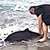 11.02.2021 / Sinop’ta Karaya Vurdu, Denize Götürüp Hayata Döndürdü