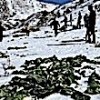 22.02.2021 / Fethiye’de Yaban Hayatına Yiyecek Desteği