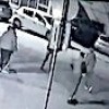 31.01.2021 / Köpekleri Kavga Ettirdiler, Korkup Otomobillerin Üstüne Çıktılar