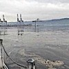 08.02.2021 / Körfez’e Kimyasal Yayıldı