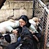 21.02.2021 / Beslediği Köpekleri Zehirlediler!