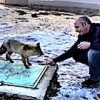 22.02.2021 / Aç Kalan Tilkiyi Elleriyle Besledi
