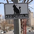 Sivas Belediyesi'nden Örnek Bir Çalışma: Kedi Ölüm ve Yaralanmalarına Karşı Uyarı Tabelaları