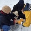 18.02.2021 / Sağlık Ekiplerinden Gönülleri Isıtan Davranış