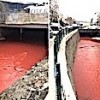 10.02.2021 / Ankara’da Tedirgin Eden Görüntüler!