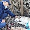11.02.2021 / Bunu Yapan İnsan Olamaz
