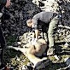 26.02.2021 / Koruma Altındaki Dağ Keçilerinde Veba Hastalığı Tespit Edildi