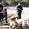 06.02.2021 / Gaziantep Valisi Davut Gül ve Protokol Üyeleri Sokak Hayvanları İçin Ormana Yem Bıraktı