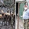 19.03.2021 / Hayvanat Bahçesindeki Geyiği Kaçırıp Yemişlerdi… Bakıcı Tüm Detayları Anlattı