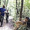 17.10.2020 / Sokak Köpekleri Hassas Burunlarını Kayıpları Bulmak İçin Kullanacak