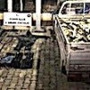 02.04.2021 / Elektrikle Balık Avlıyorlardı! Yakalandılar