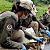 20.03.2021 / İstanbul’un Çevre, Doğa ve Hayvanları Koruma Polisleri Adalar’da Görev Başında