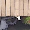 18.04.2021 / Beylerbeyi’nde İskele Altına Sıkışan Kedi Kurtarıldı