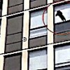 14.05.2021 / Beşinci Kattan Atlayarak Yangından Kurtulan Kedi