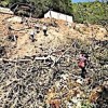 13.05.2021 / İkizdere’de Orman Katliamı Bayramda da Devam Etti