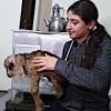 29.01.2021 / Arka Bacakları Kısa Doğan Oğlağa Evlerinde Bakıyorlar