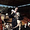 09.03.2021 / Devlet Desteğiyle Çiftlik Kuran Kadın Girişimci, Kuzularını “Anne Şefkatiyle” Büyütüyor