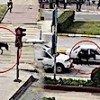 10.02.2021 / Caddede Yürüyen Sıpa Kenti Birbirine Kattı!