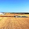 05.05.2021 / Şanlıurfa’da Kuraklık! Verim Kaybı Yaşanıyor