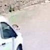 26.05.2021 / Yolda Yatan Köpeğin Üzerinden Aracıyla Geçti